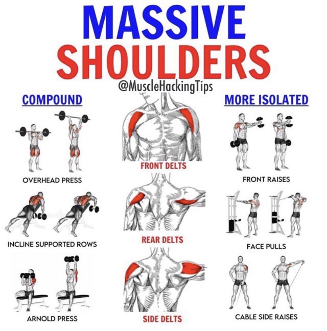 Build Massive Shoulders