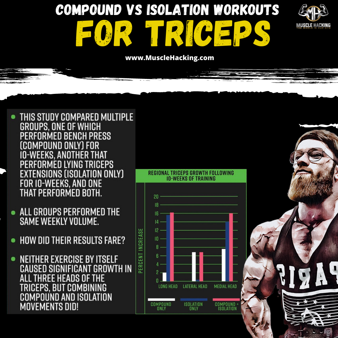 Triceps Development Triceps